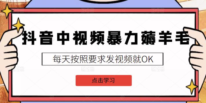 2022抖音中视频暴力薅羊毛白嫖项目：新号每天20块，老号几天几百块，可多号￼-博格网创