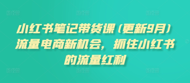 小红书笔记带货课(更新25年1月)流量电商新机会，抓住小红书的流量红利-博格网创