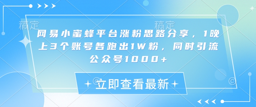 网易小蜜蜂平台涨粉思路分享，1晚上3个账号各跑出1W粉，同时引流公众号1000+-博格网创