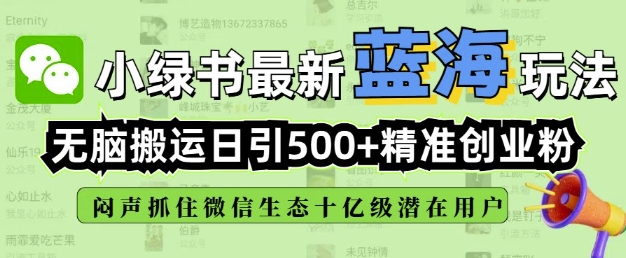 小绿书无脑搬运引流，全自动日引500精准创业粉，微信生态内又一个闷声发财的机会-博格网创