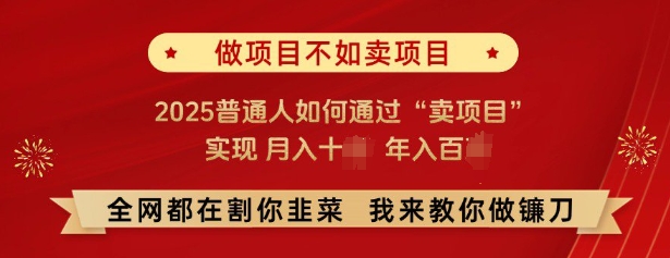 必看，做项目不如卖项目，2025普通人如何通过“卖项目”实现月入十个，年入百个-博格网创