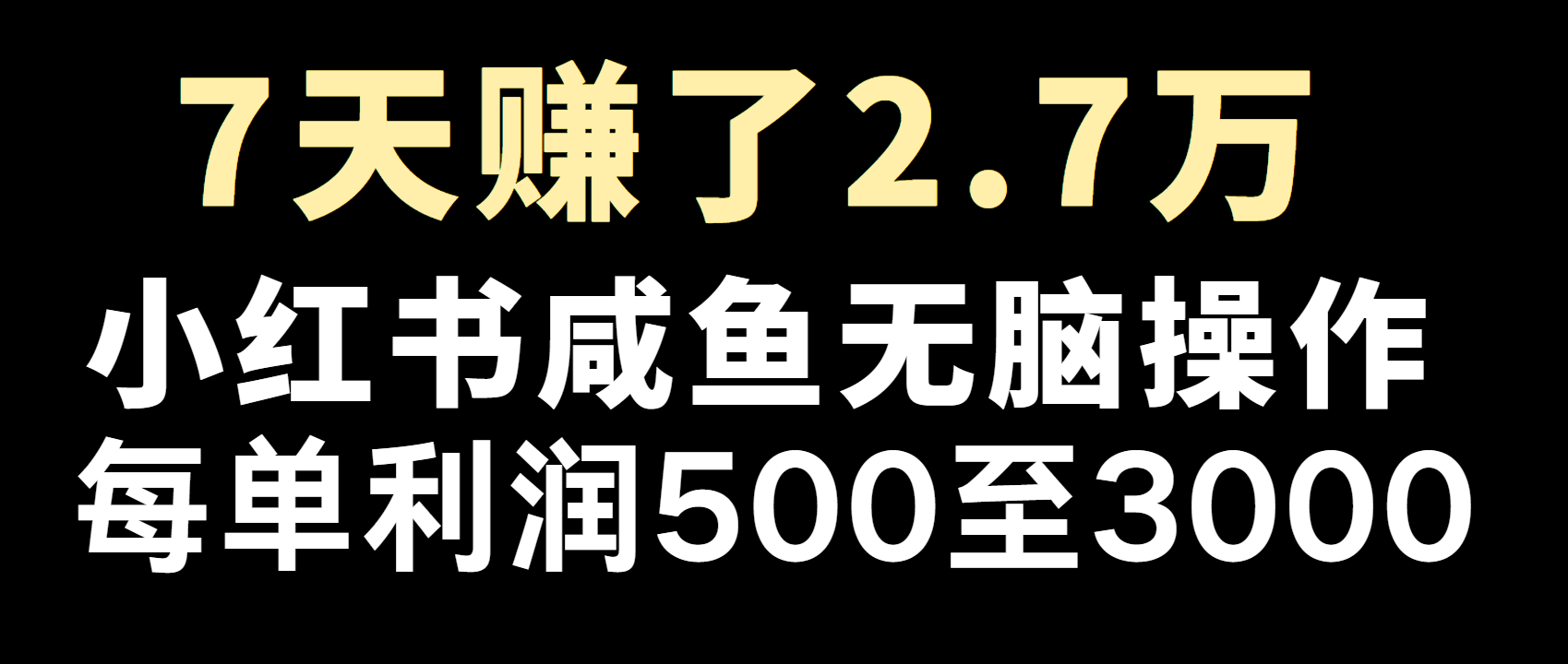 全网首发，7天赚了2.6万，2025利润超级高！-博格网创