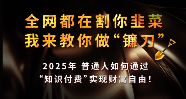 全网都在割你韭菜，我来教你做镰刀，2025年普通人如何通过 知识付费 实现财F自由【揭秘】-博格网创