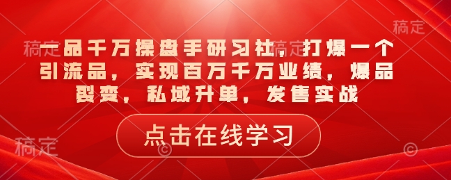 一品千万操盘手研习社，打爆一个引流品，实现百万千万业绩，爆品裂变，私域升单，发售实战-博格网创