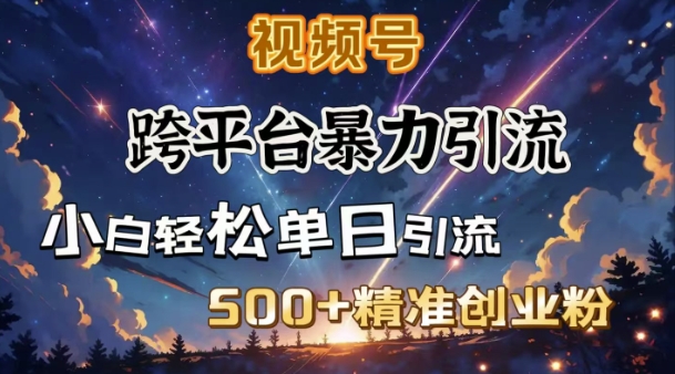 跨平台暴力引流，私域完美闭环，日引500+精准创业粉-博格网创