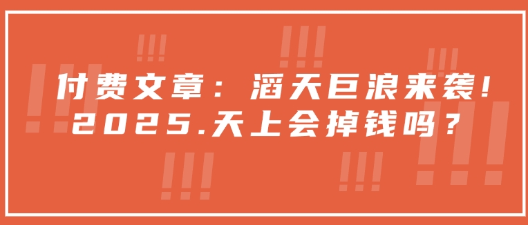 付费文章：滔天巨浪来袭！2025天上会掉钱吗？