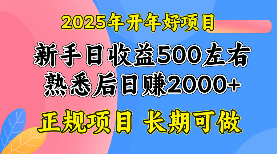 2025开年好项目，单号日收益2000左右-博格网创