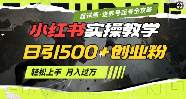 2月小红书最新日引500+创业粉实操教学【超详细】小白轻松上手，月入1W+，附小红书养号起号SOP-博格网创