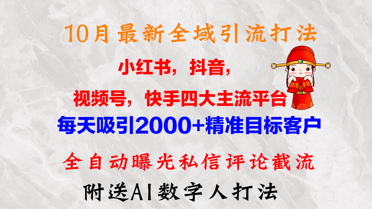 10月最新小红书，抖音，视频号，快手四大平台全域引流，，每天吸引2000…-博格网创