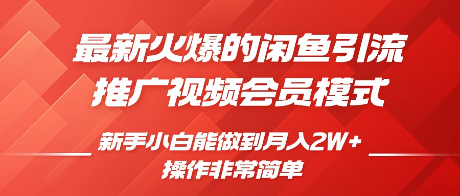 闲鱼引流推广影视会员，0成本就可以操作，新手小白月入过W+【揭秘】-博格网创