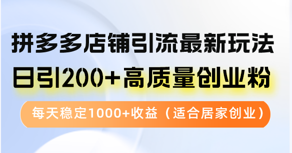 拼多多店铺引流最新玩法，日引200+高质量创业粉，每天稳定1000+收益(…-博格网创