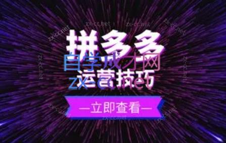 力辛电商·拼多多强付费店群玩法-博格网创