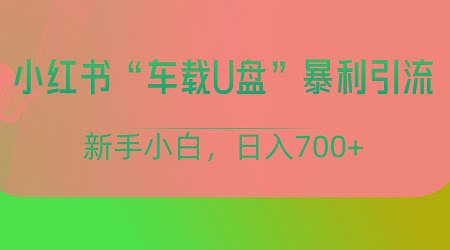 小红书“车载U盘”项目，暴利引流，新手小白轻松日入700+-博格网创