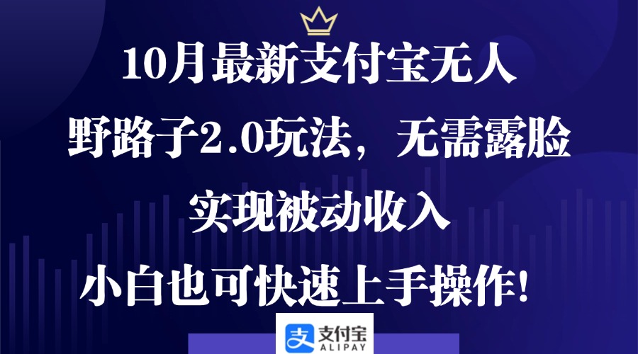 10月最新支付宝无人野路子2.0玩法，无需露脸，实现被动收入，小白也可…-博格网创